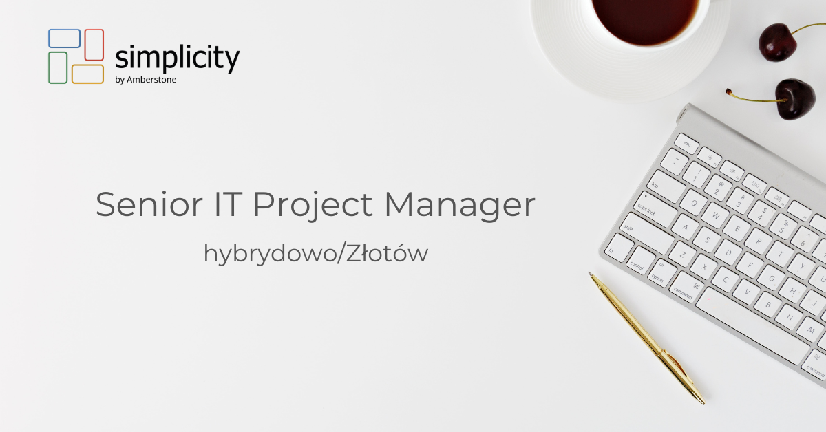 Senior IT Project Manager