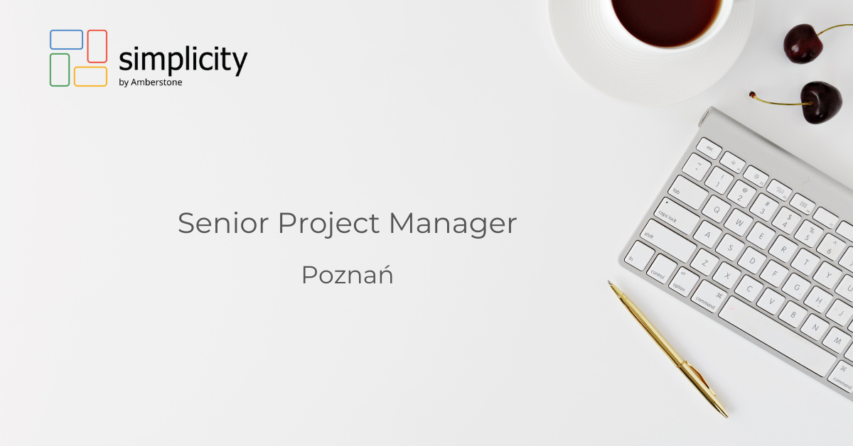 Senior Project Manager